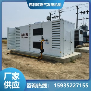 伟利欧 WL320 燃气发电机 高加工强度 高质量的AVR